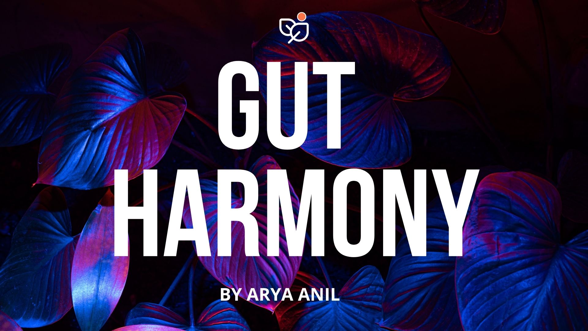 Wellness Program Image